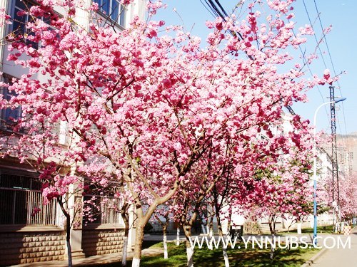 ����ʦ����ѧ��ѧԺ�ٿ���ѧ�ڽ�ѧ������