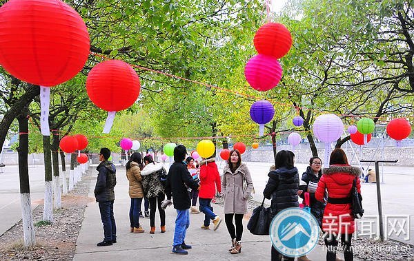 Ԫ�����ջᡡ������ѧ��