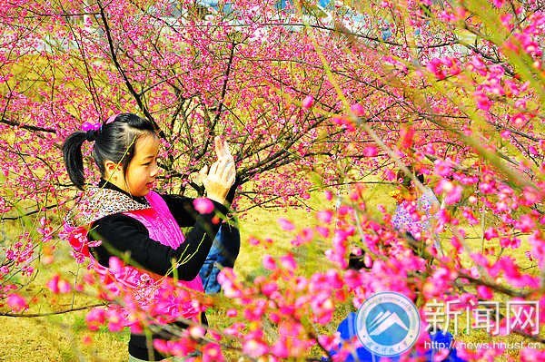梅花园成湖南科技大学风景新名片