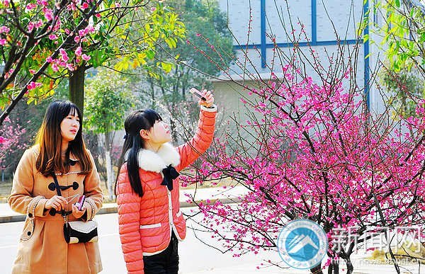 梅花园成湖南科技大学风景新名片