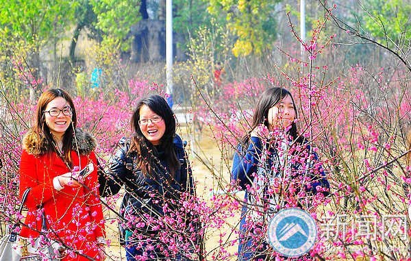 梅花园成湖南科技大学风景新名片