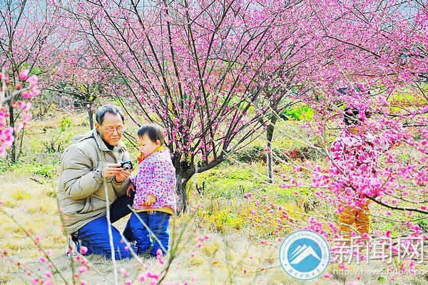 梅花园成湖南科技大学风景新名片