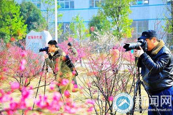 梅花园成湖南科技大学风景新名片