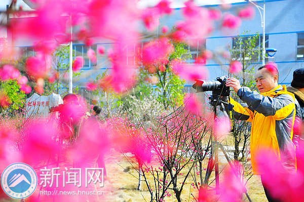 梅花园成湖南科技大学风景新名片