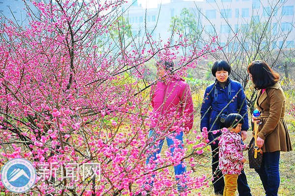 梅花园成湖南科技大学风景新名片