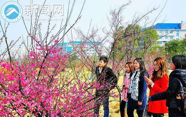 梅花园成湖南科技大学风景新名片