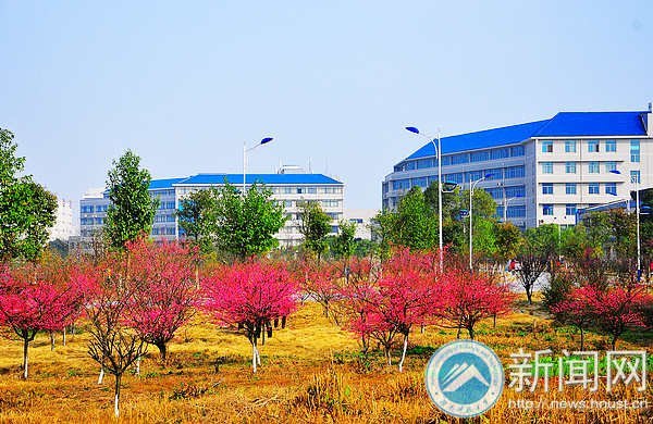 梅花园成湖南科技大学风景新名片