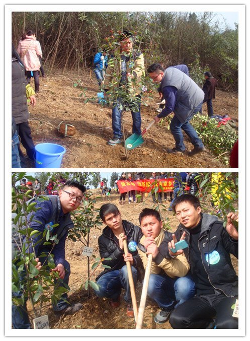 春暖花开季 公益植树行
