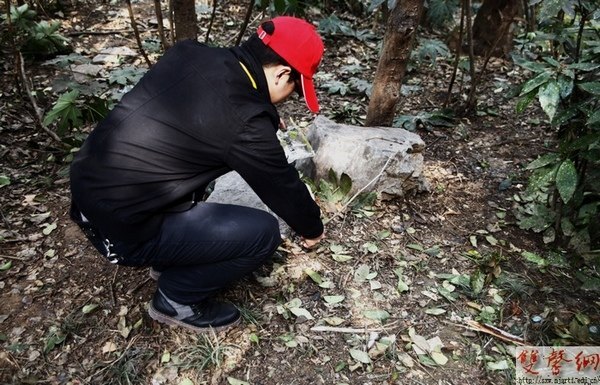 学雷锋 在行动——校级学生组织积极开展学雷锋活动