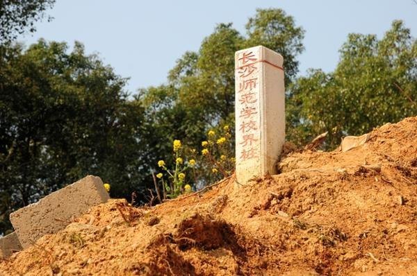 第二校区一期工程建设进展顺利【组图】