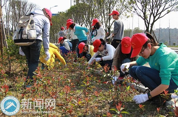 春光正好,学习雷锋在行动