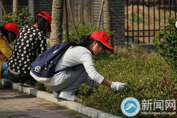 春光正好,学习雷锋在行动