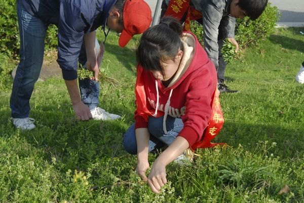 “美丽校园”青年志愿者活动暨学雷锋志愿服务推进月启动