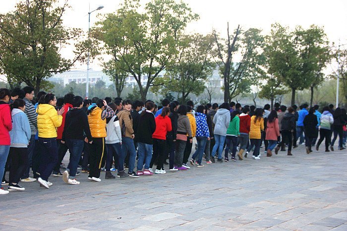 ��������ѧԺ��֯ѧ������������������