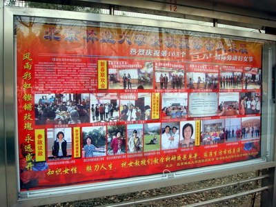 校园宣传栏妇女节专题展现女教授风采