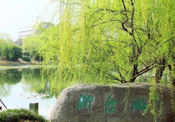 ���ⰻȻ������У԰