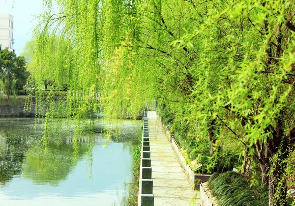 ���ⰻȻ������У԰