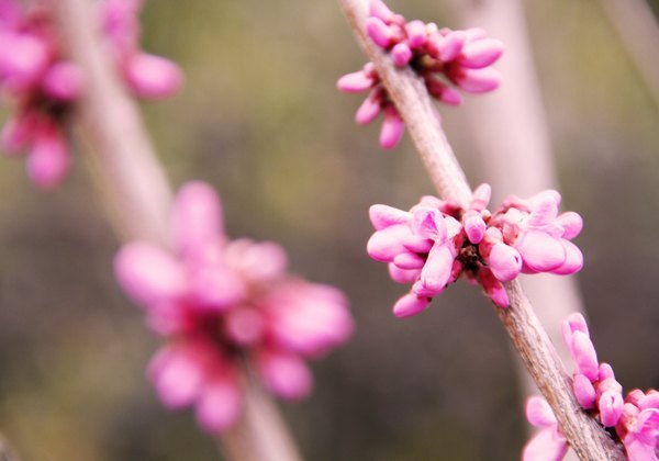 ���ⰻȻ������У԰