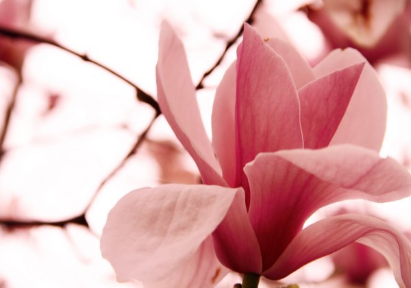 ���ⰻȻ������У԰