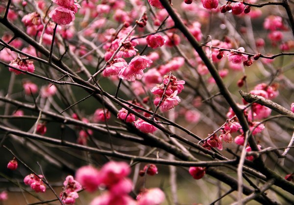 ���ⰻȻ������У԰