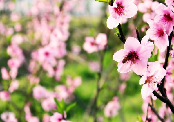 ���ⰻȻ������У԰