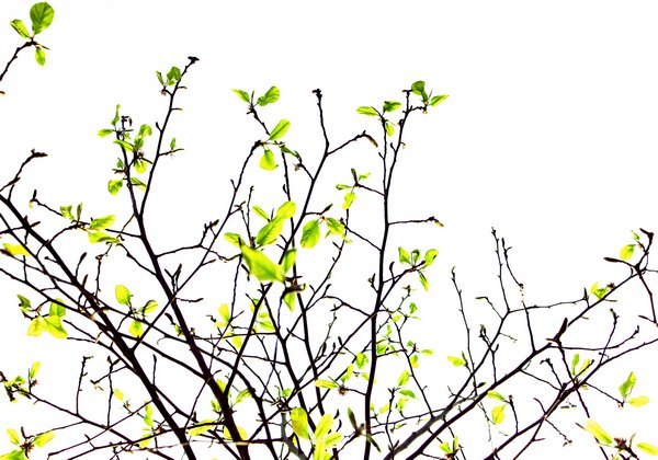 ���ⰻȻ������У԰