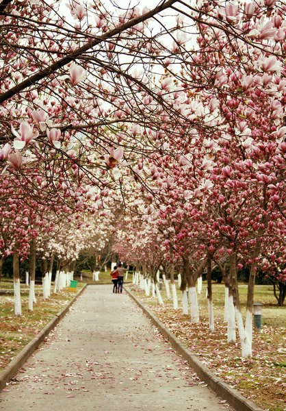 ���ⰻȻ������У԰