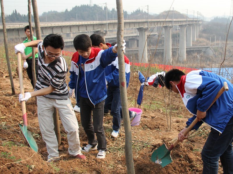 ������ɫϣ�����������ü�԰