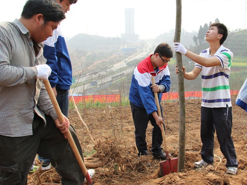 ������ɫϣ�����������ü�԰