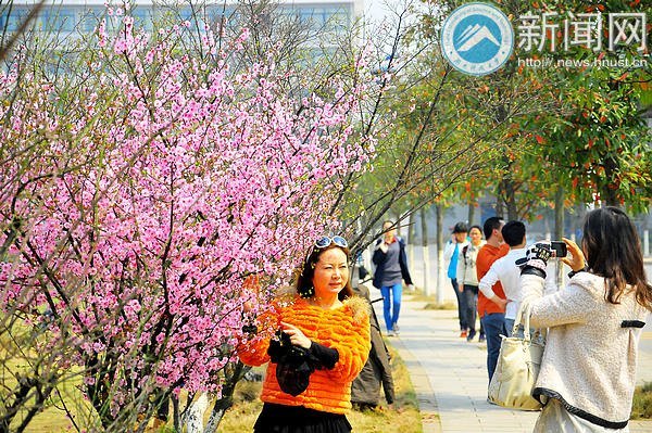 【图说科大】梅花花期将过 师生请抓紧赏梅