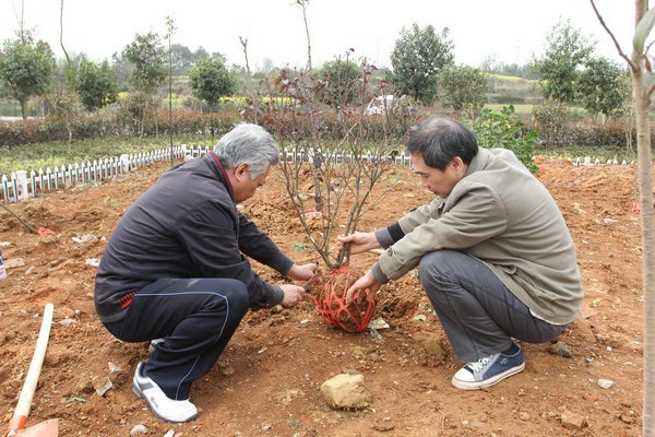 �人���̴�ѧ�����򡱻������ʵ��ʮ����