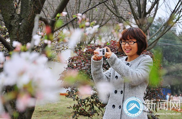 【图说科大】白色早樱悄然绽放