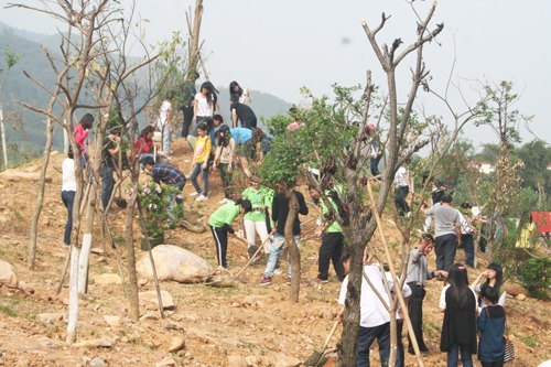 创建全国绿化模范单位 肇庆学院开展大学生义务植树活动