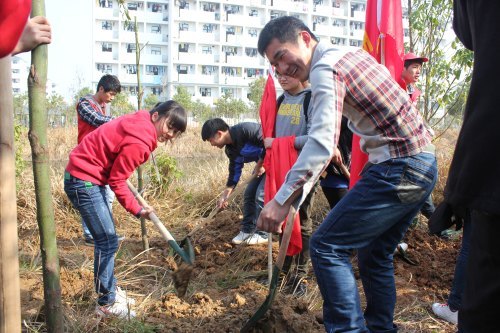 黄山学院开展“同栽纪念林,见证我成长”植树活动