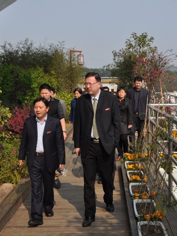 У�ʽ��������� ѧϰ̽�ֹ���չ