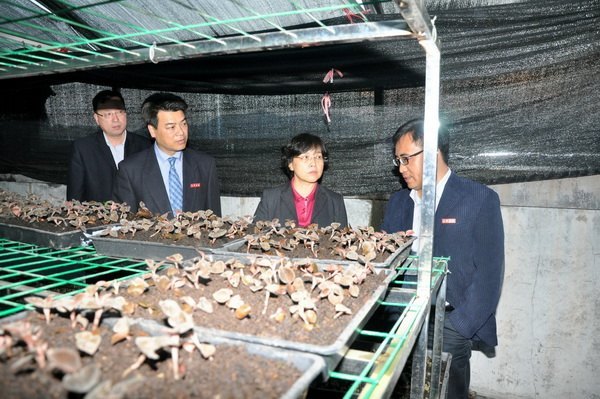 ���˴��쵼ݰУ�������