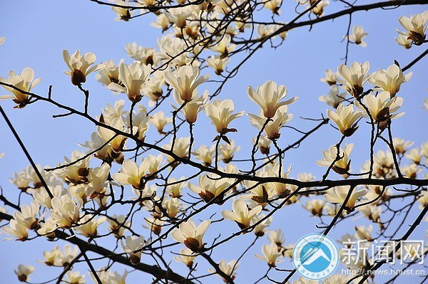 一起走进春天里