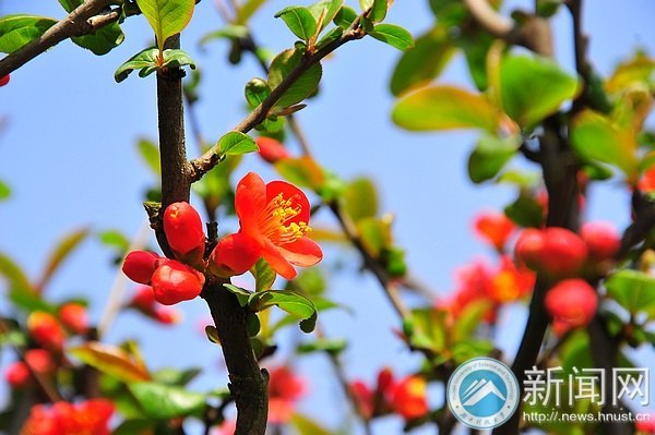 一起走进春天里