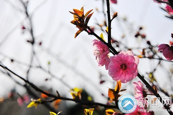 一起走进春天里