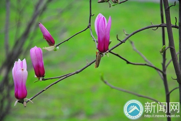 一起走进春天里