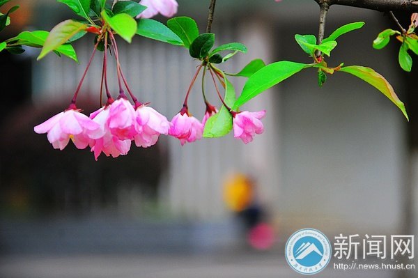 一起走进春天里