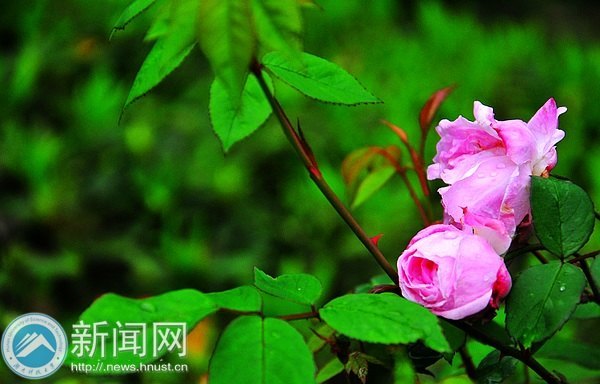 一起走进春天里