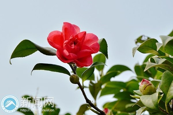 一起走进春天里