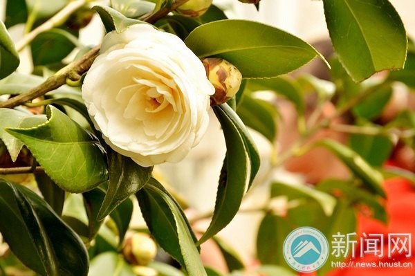 一起走进春天里