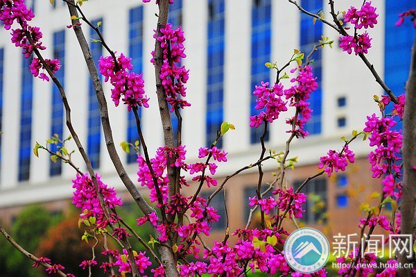 一起走进春天里