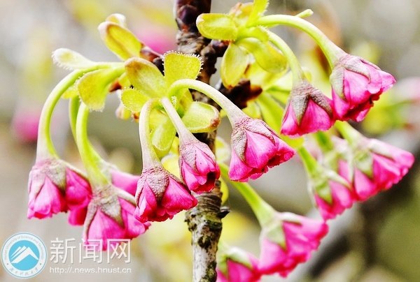 一起走进春天里