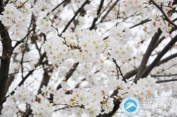 一起走进春天里