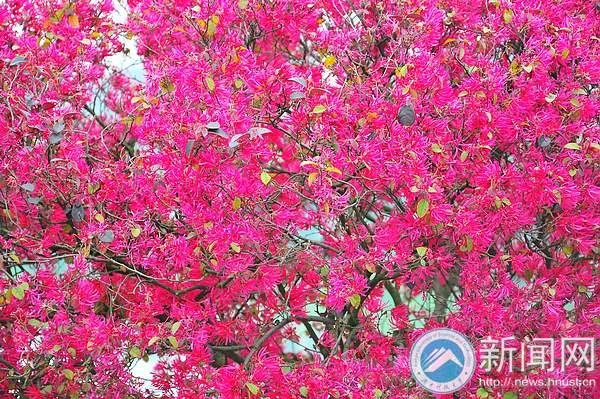 一起走进春天里