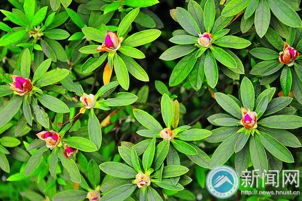 一起走进春天里