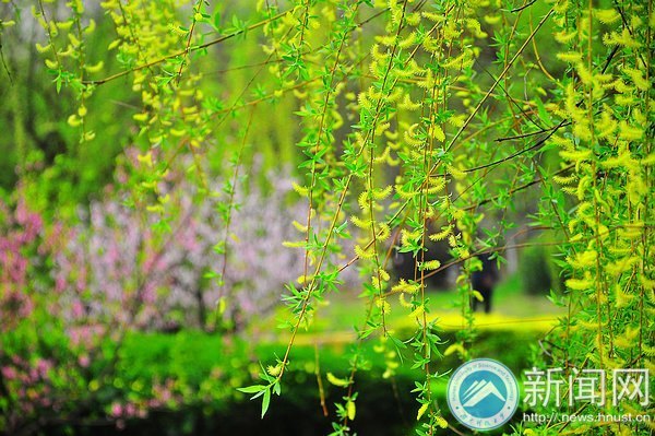 一起走进春天里